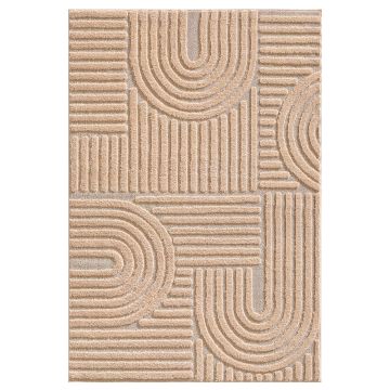 Art koberec vysoký vlas obdĺžnik 240x340cm ruža