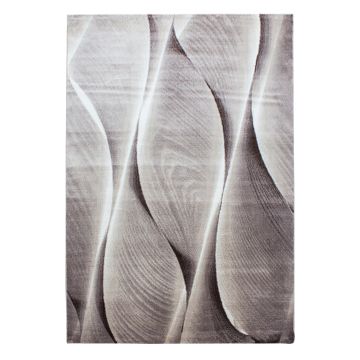 Parma Saty koberec nízky vlas obdĺžnik 240x340cm hnedá
